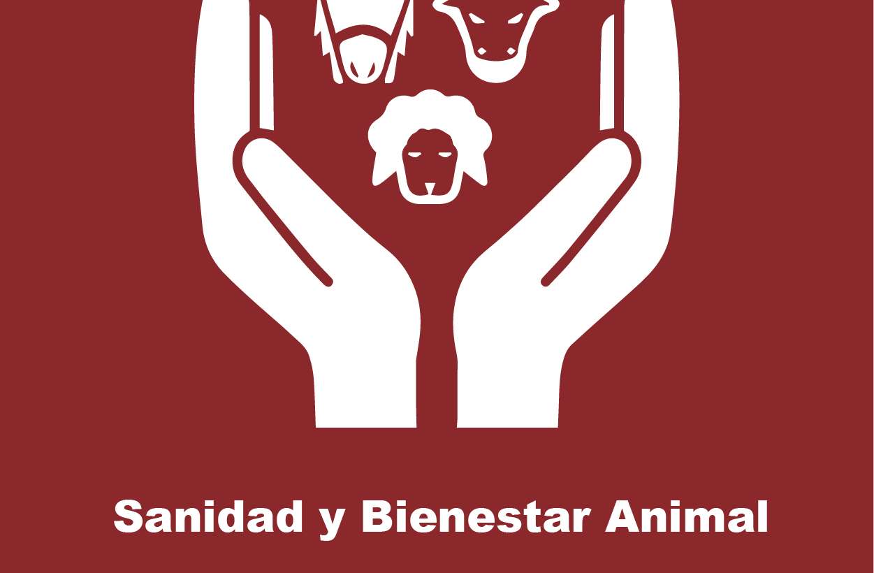 Sanidad y Bienestar Animal