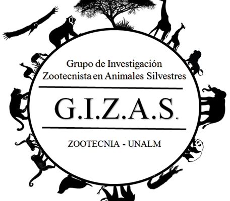 GIZAS