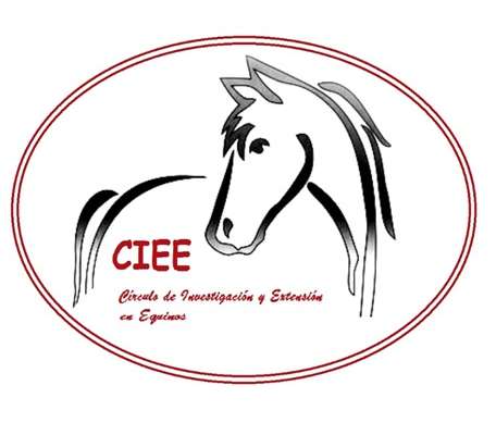 CIEE