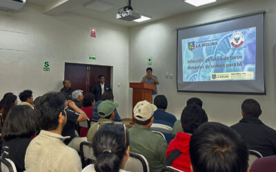 Uso de inteligencia artificial para predecir eficiencia reproductiva en ganado lechero